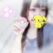 ヒメ日記 2025/06/29 11:06 投稿 しずく 横浜ひよこ倶楽部