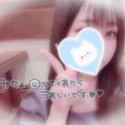 ヒメ日記 2025/07/01 19:06 投稿 しずく 横浜ひよこ倶楽部