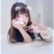 ヒメ日記 2025/07/09 13:46 投稿 しずく 横浜ひよこ倶楽部