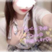 ヒメ日記 2025/07/09 17:26 投稿 しずく 横浜ひよこ倶楽部