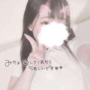 ヒメ日記 2025/07/10 10:26 投稿 しずく 横浜ひよこ倶楽部