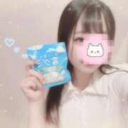 ヒメ日記 2025/07/10 13:36 投稿 しずく 横浜ひよこ倶楽部