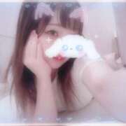 ヒメ日記 2025/07/11 18:46 投稿 しずく 横浜ひよこ倶楽部