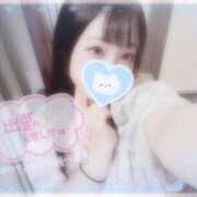 ヒメ日記 2025/07/14 10:26 投稿 しずく 横浜ひよこ倶楽部