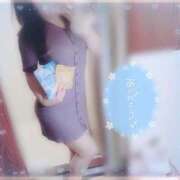 ヒメ日記 2025/07/15 21:16 投稿 しずく 横浜ひよこ倶楽部