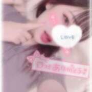 ヒメ日記 2025/07/16 16:56 投稿 しずく 横浜ひよこ倶楽部