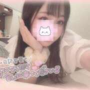 ヒメ日記 2025/07/18 15:26 投稿 しずく 横浜ひよこ倶楽部