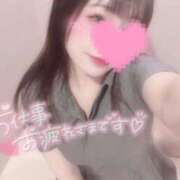 ヒメ日記 2025/07/18 17:16 投稿 しずく 横浜ひよこ倶楽部