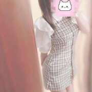 ヒメ日記 2025/07/19 08:16 投稿 しずく 横浜ひよこ倶楽部