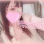 ヒメ日記 2025/07/22 10:26 投稿 しずく 横浜ひよこ倶楽部