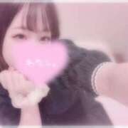 ヒメ日記 2025/07/23 07:26 投稿 しずく 横浜ひよこ倶楽部