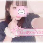 ヒメ日記 2025/07/23 14:26 投稿 しずく 横浜ひよこ倶楽部