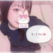 ヒメ日記 2025/07/24 07:06 投稿 しずく 横浜ひよこ倶楽部