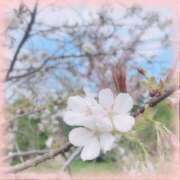 ヒメ日記 2025/07/24 15:56 投稿 しずく 横浜ひよこ倶楽部