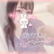 ヒメ日記 2025/07/26 09:36 投稿 しずく 横浜ひよこ倶楽部