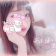 ヒメ日記 2025/07/26 19:06 投稿 しずく 横浜ひよこ倶楽部