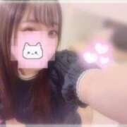 ヒメ日記 2025/07/28 17:26 投稿 しずく 横浜ひよこ倶楽部