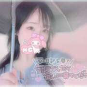 ヒメ日記 2025/07/31 20:26 投稿 しずく 横浜ひよこ倶楽部