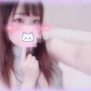 ヒメ日記 2025/08/01 18:07 投稿 しずく 横浜ひよこ倶楽部