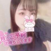 ヒメ日記 2025/08/02 18:26 投稿 しずく 横浜ひよこ倶楽部