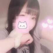 ヒメ日記 2025/08/06 18:16 投稿 しずく 横浜ひよこ倶楽部