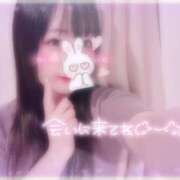 ヒメ日記 2025/08/07 08:46 投稿 しずく 横浜ひよこ倶楽部