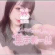 ヒメ日記 2025/08/09 22:46 投稿 しずく 横浜ひよこ倶楽部