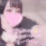 ヒメ日記 2025/08/11 08:46 投稿 しずく 横浜ひよこ倶楽部