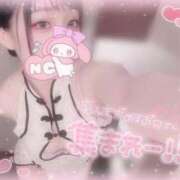 ヒメ日記 2025/08/11 09:46 投稿 しずく 横浜ひよこ倶楽部