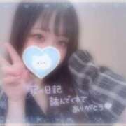 ヒメ日記 2025/08/13 07:56 投稿 しずく 横浜ひよこ倶楽部