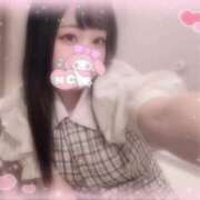 ヒメ日記 2025/08/16 09:36 投稿 しずく 横浜ひよこ倶楽部