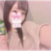 ヒメ日記 2025/08/16 10:26 投稿 しずく 横浜ひよこ倶楽部