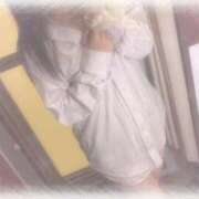 ヒメ日記 2025/08/16 20:06 投稿 しずく 横浜ひよこ倶楽部