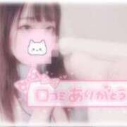 ヒメ日記 2025/08/29 23:45 投稿 しずく 横浜ひよこ倶楽部