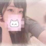 ヒメ日記 2025/08/29 23:56 投稿 しずく 横浜ひよこ倶楽部