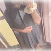 ヒメ日記 2025/08/30 20:06 投稿 しずく 横浜ひよこ倶楽部