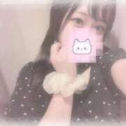 ヒメ日記 2025/09/02 11:16 投稿 しずく 横浜ひよこ倶楽部