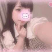 ヒメ日記 2025/09/03 13:26 投稿 しずく 横浜ひよこ倶楽部