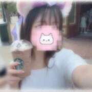 ヒメ日記 2025/09/05 12:27 投稿 しずく 横浜ひよこ倶楽部