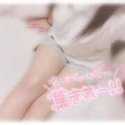 ヒメ日記 2025/09/06 07:56 投稿 しずく 横浜ひよこ倶楽部