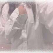 ヒメ日記 2025/09/22 22:26 投稿 しずく 横浜ひよこ倶楽部