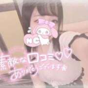 ヒメ日記 2025/09/27 09:46 投稿 しずく 横浜ひよこ倶楽部