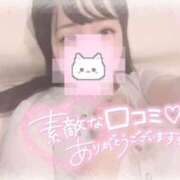 ヒメ日記 2025/09/27 11:36 投稿 しずく 横浜ひよこ倶楽部