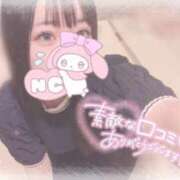 ヒメ日記 2025/09/27 13:06 投稿 しずく 横浜ひよこ倶楽部