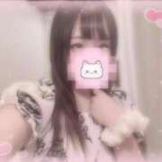 ヒメ日記 2025/10/02 20:36 投稿 しずく 横浜ひよこ倶楽部