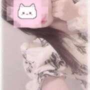 ヒメ日記 2025/10/04 09:26 投稿 しずく 横浜ひよこ倶楽部