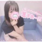 ヒメ日記 2025/10/08 19:06 投稿 しずく 横浜ひよこ倶楽部