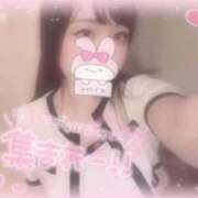 ヒメ日記 2025/10/10 06:16 投稿 しずく 横浜ひよこ倶楽部