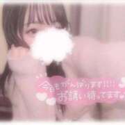 ヒメ日記 2025/10/13 09:46 投稿 しずく 横浜ひよこ倶楽部