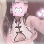 ヒメ日記 2025/10/14 21:16 投稿 しずく 横浜ひよこ倶楽部